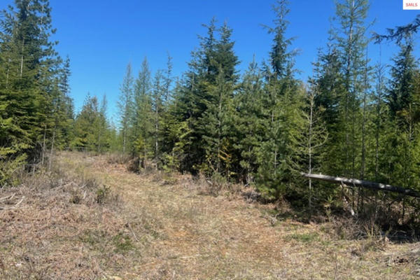 NNA NOBLE ESTATES LOT 3 RD, SANDPOINT, ID 83864, photo 3 of 13