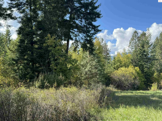 NNA CONTINENTAL LANE-PARCEL 3, BONNERS FERRY, ID 83805, photo 4 of 12