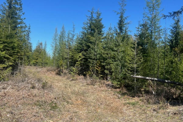 NNA NOBLE ESTATES LOT 4 RD, SANDPOINT, ID 83864, photo 3 of 13