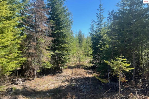 NNA NOBLE ESTATES LOT 3 RD, SANDPOINT, ID 83864, photo 4 of 13