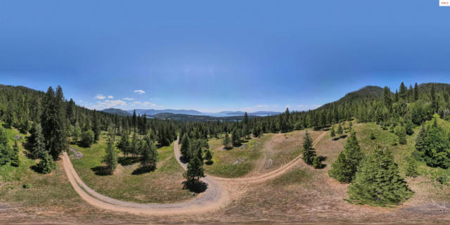 NNA BLUFF DRIVE, HOPE, ID 83836 - Image 1