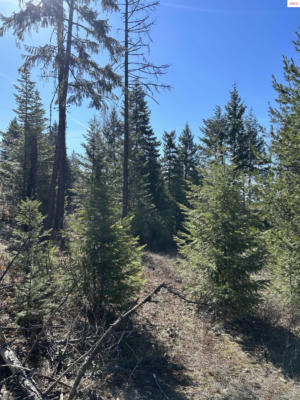 NNA BLACKTAIL RD, COCOLALLA, ID 83813, photo 4 of 16