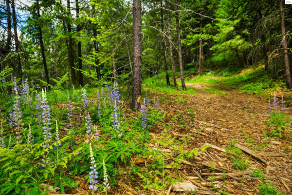 TBD KREIGER CREEK RD., CAREYWOOD, ID 83809 - Image 1