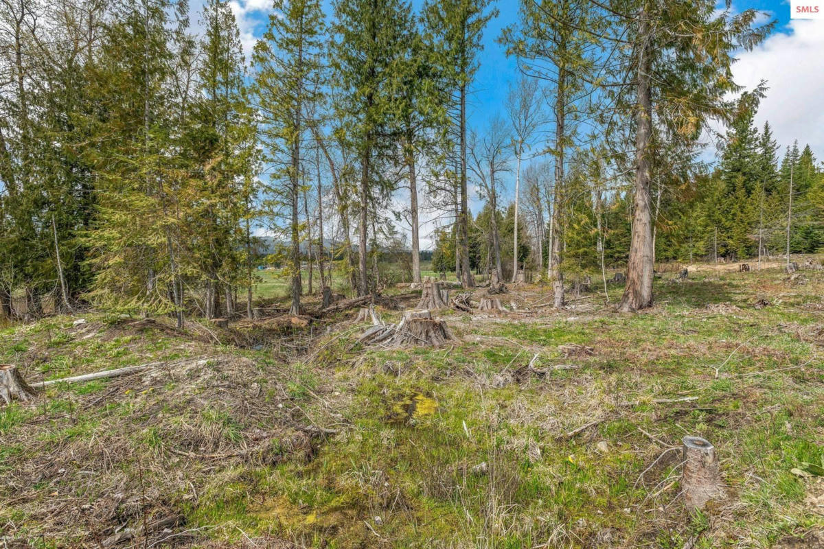 LOT 3 LITTLE ITALY, PRIEST RIVER, ID 83856, photo 1 of 26