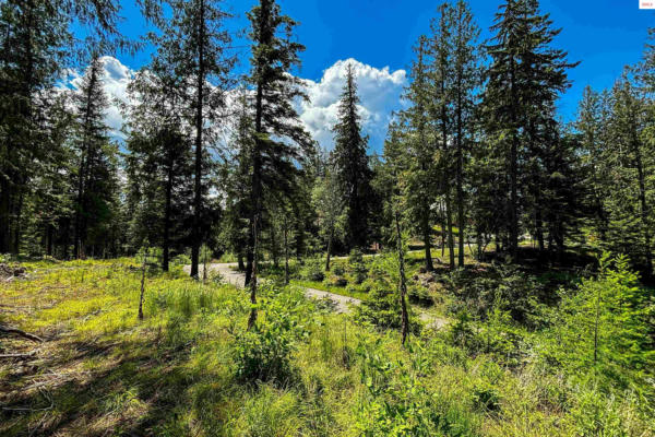 LOT 6, S22 WHITE CLOUD DRIVE, SANDPOINT, ID 83864 - Image 1