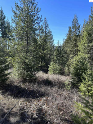 NNA BLACKTAIL RD, COCOLALLA, ID 83813, photo 3 of 16