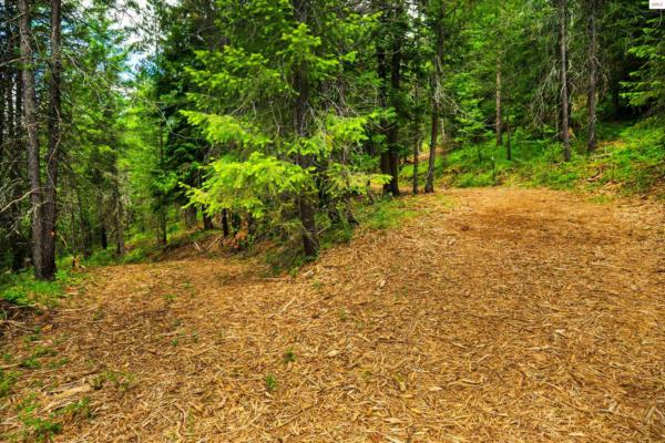 TBD KREIGER CREEK RD., CAREYWOOD, ID 83809 - Image 1