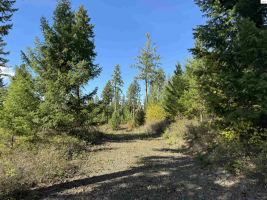 NNA CONTINENTAL LANE-PARCEL 4, BONNERS FERRY, ID 83805, photo 4 of 18