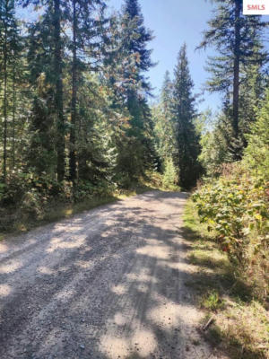 NNA PORKCHOP ROAD, MOYIE SPRINGS, ID 83845, photo 4 of 16